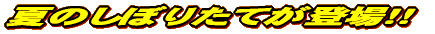 香り豊かな最新型ZAKU!!
